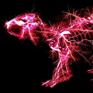 欧美乱伦动态视频
