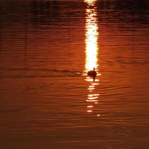 欧美乱伦动态视频
