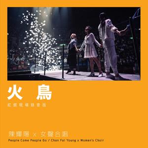 欧美乱伦动态视频
